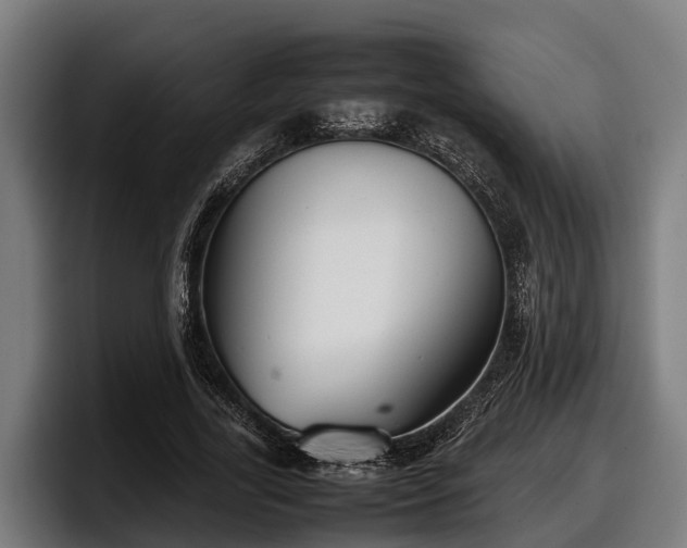 X0000097820731200803201437