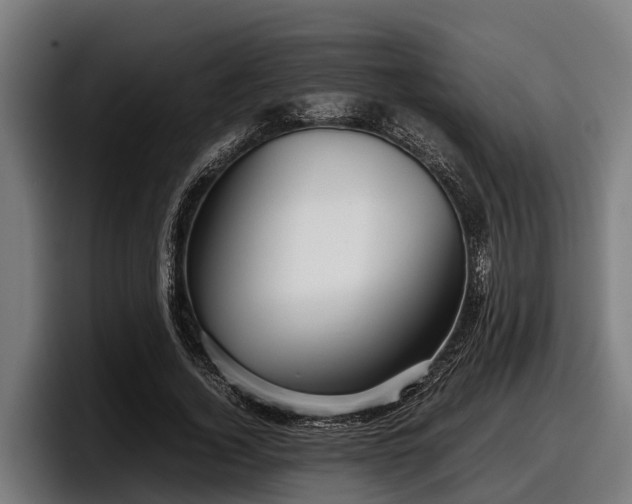 X0000097820732200803201437