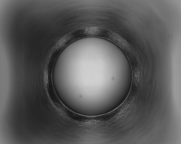 X0000097820734200803201437