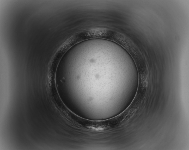 X0000097820735200803201437