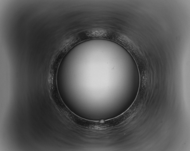 X0000097820739200803201437