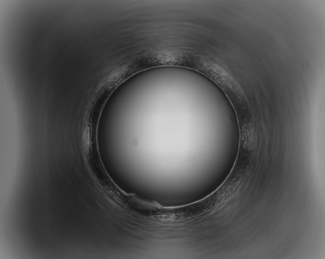 X0000097820740200803201437