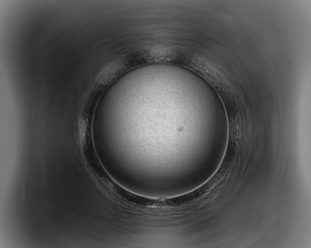 X0000097820742200803201437