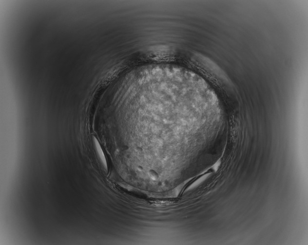 X0000097820748200803201437