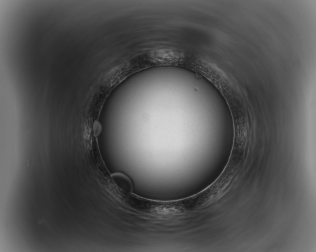 X0000097820749200803201437