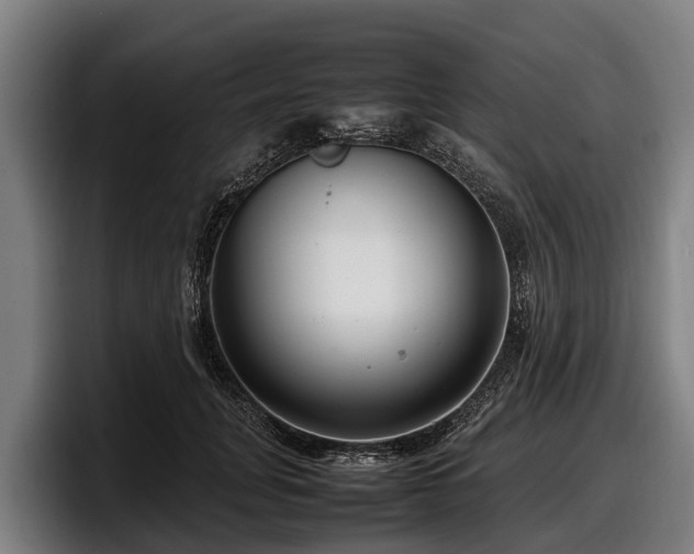 X0000097820751200803201437