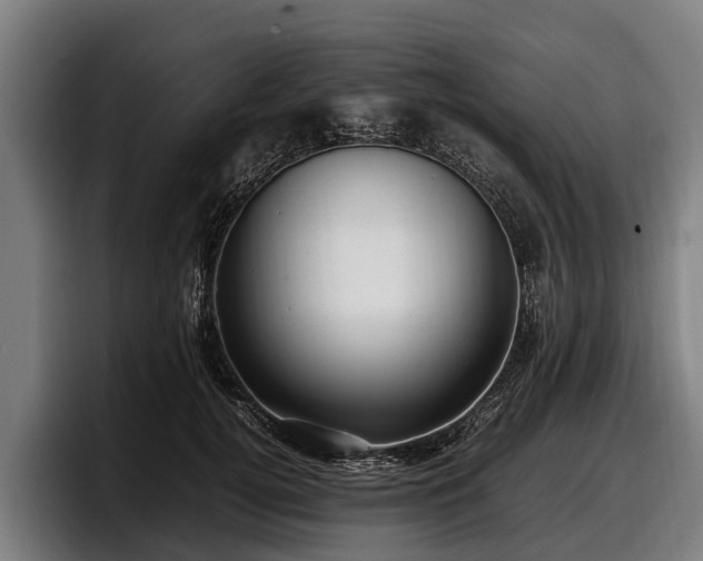 X0000097820752200803201437