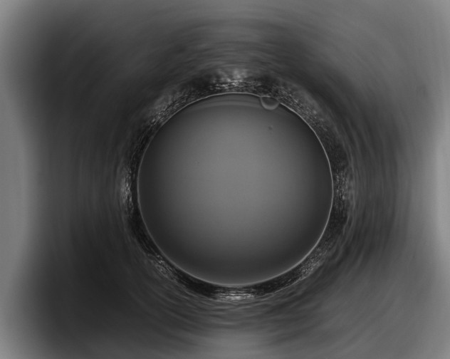 X0000097820754200803201437