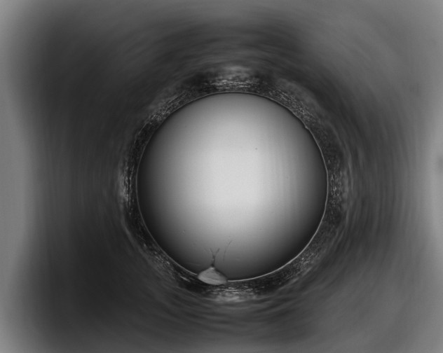 X0000097820755200803201437