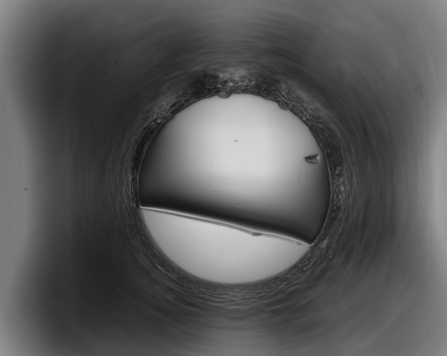 X0000097820756200803201437