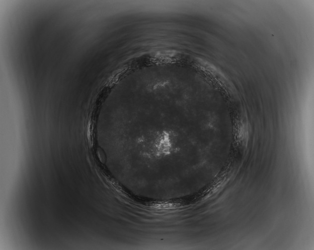 X0000097820759200803201437