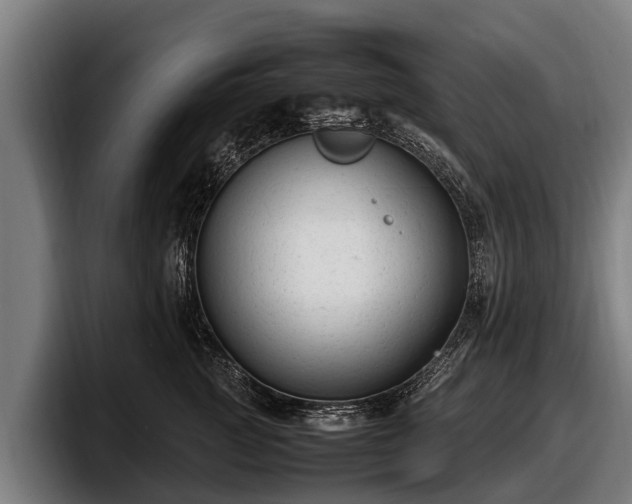 X0000097820761200803201437