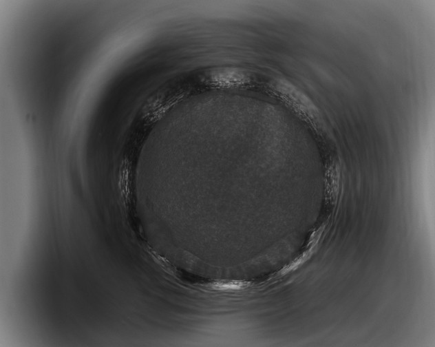 X0000097820762200803201437