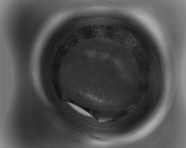 X0000097820766200803201437