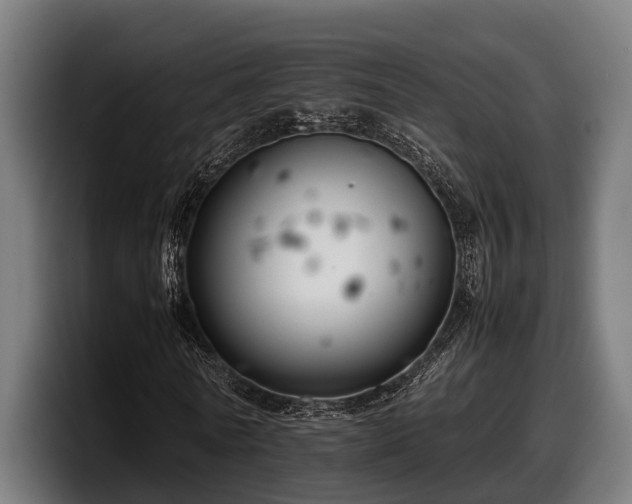 X0000097820770200803201437