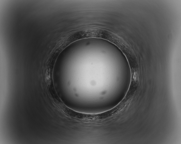 X0000097820771200803201437