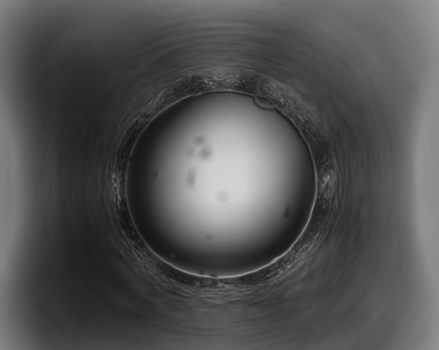 X0000097820772200803201437