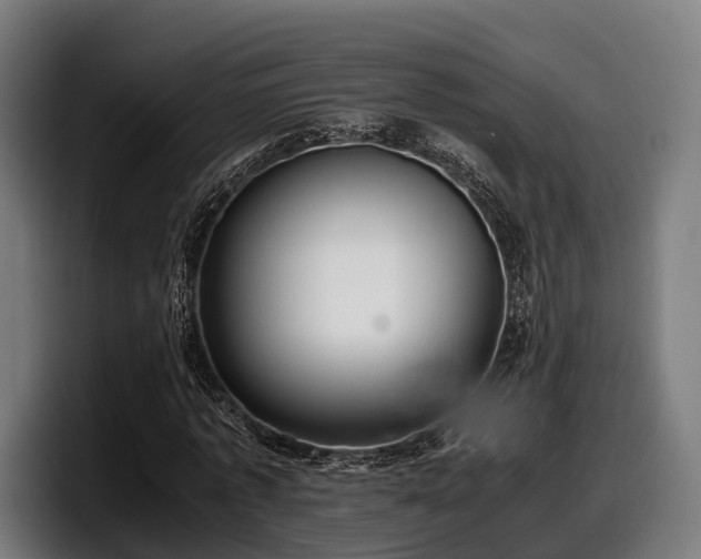 X0000097820773200803201437