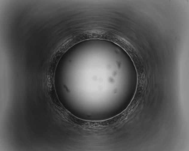 X0000097820774200803201437