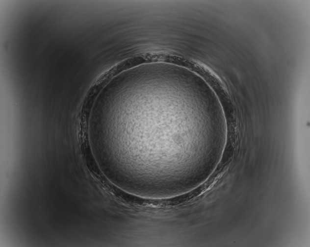 X0000097820775200803201437