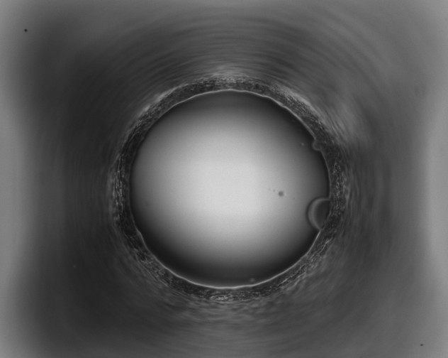 X0000097820776200803201437