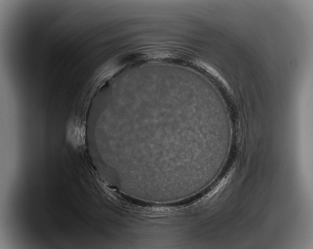 X0000097820777200803201437