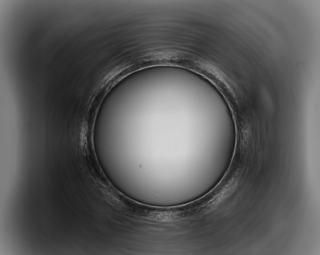 X0000097820778200803201437