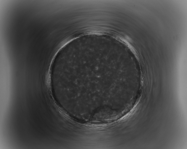 X0000097820779200803201437