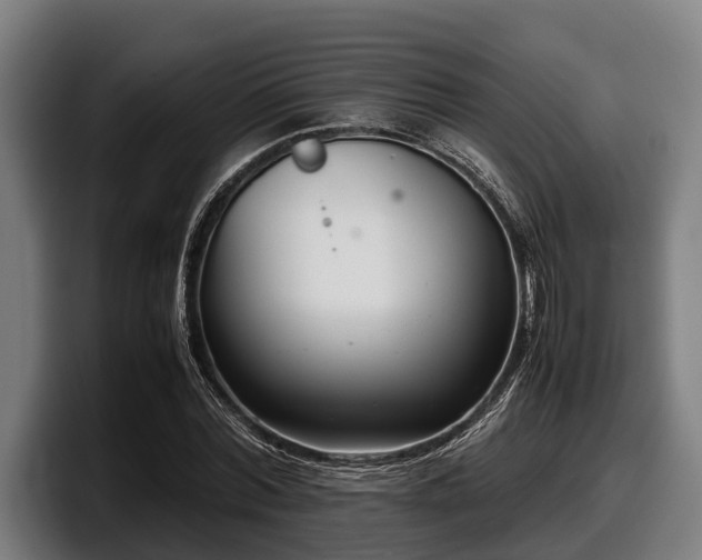 X0000097820780200803201437