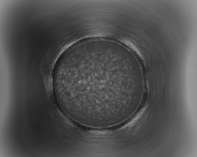 X0000097820781200803201437