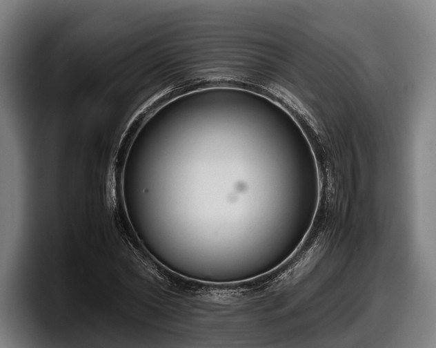 X0000097820782200803201436