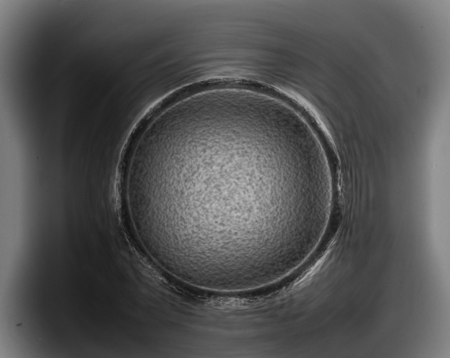 X0000097820783200803201436