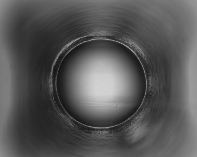 X0000097820784200803201436