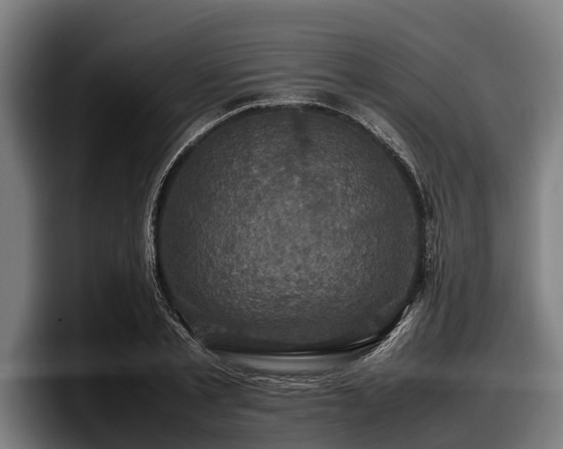 X0000097820789200803201436