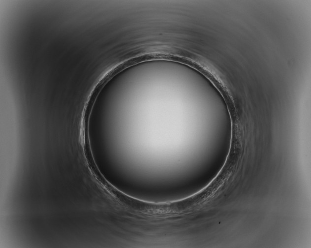 X0000097820791200803201436