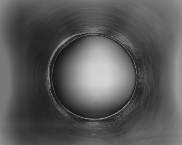 X0000097820792200803201436