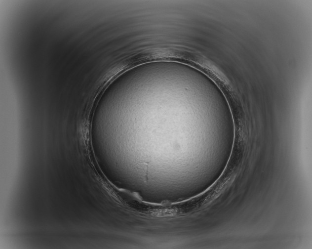 X0000097820793200803201436