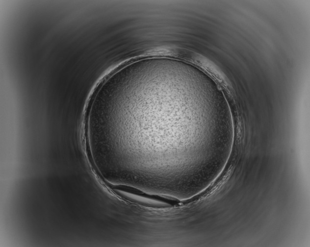 X0000097820800200803201436