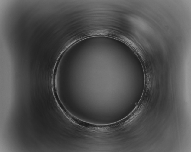 X0000097820802200803201436