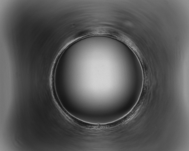 X0000097820803200803201436