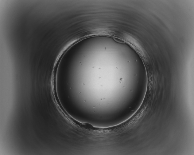 X0000097820804200803201436
