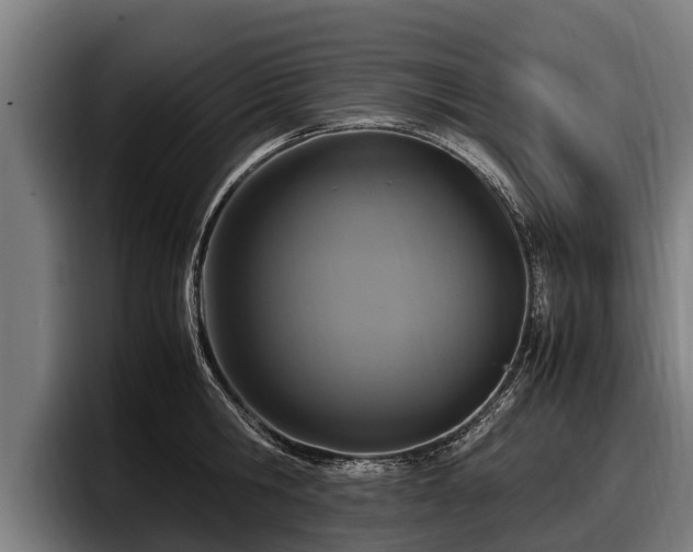 X0000097820806200803201436