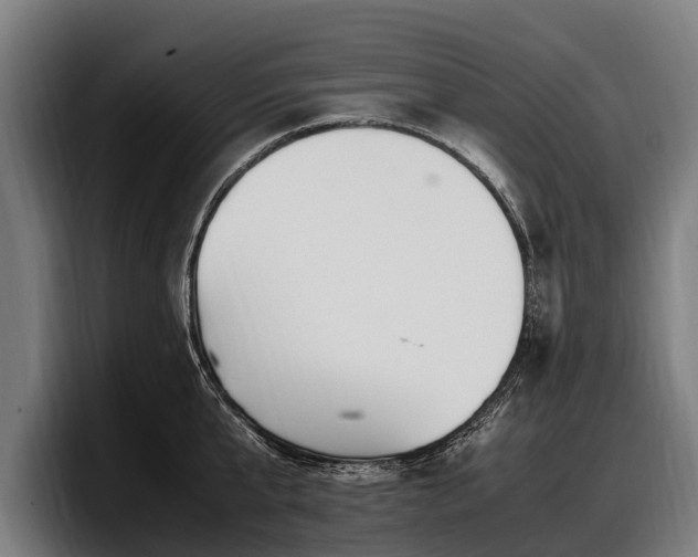 X0000097820807200803201436