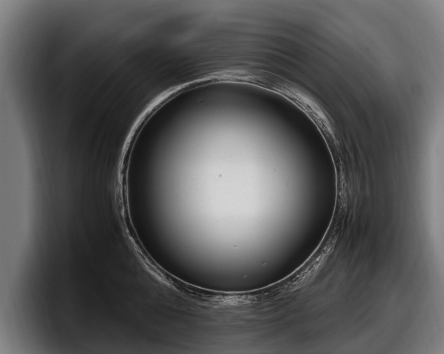 X0000097820808200803201436