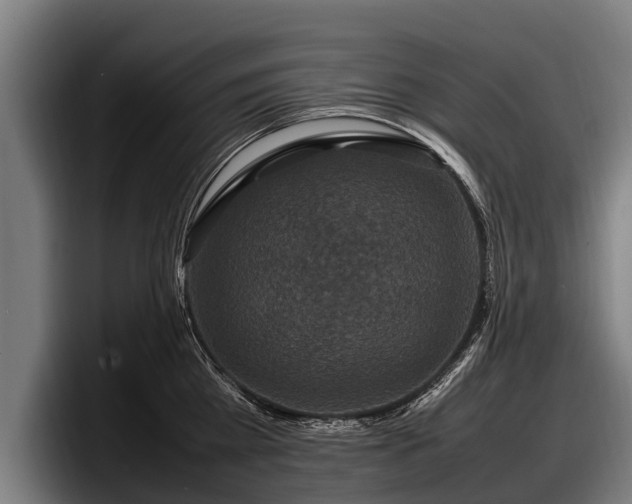 X0000097820809200803201436