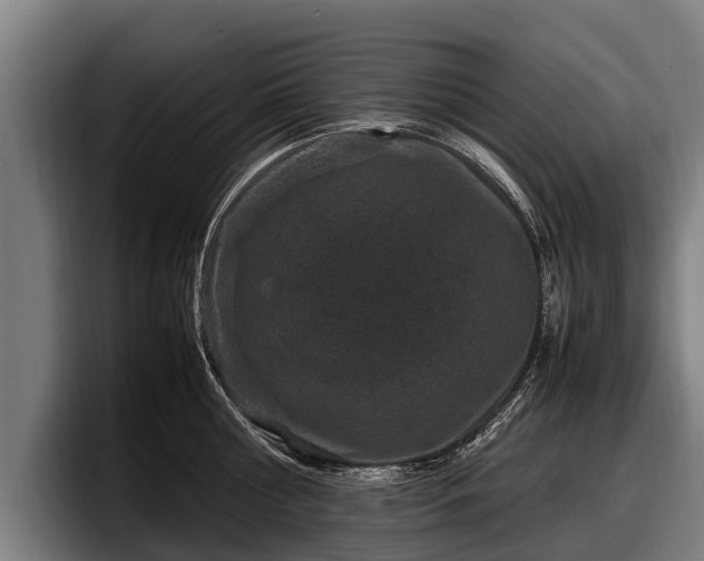 X0000097820810200803201436