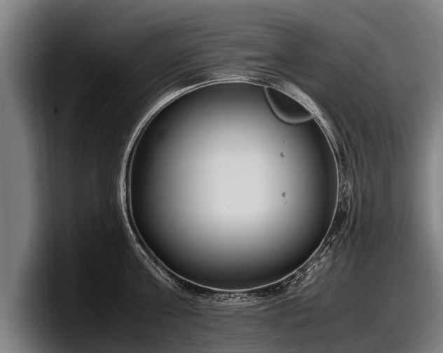 X0000097820811200803201436