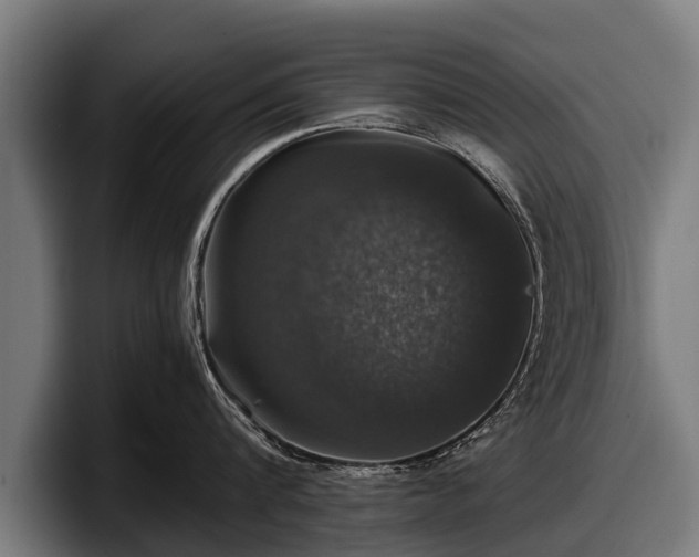 X0000097820816200803201436