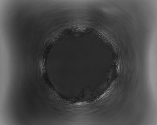 X0000097820818200803201435