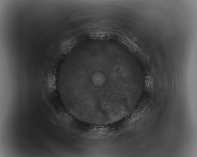 X0000097820820200803201435